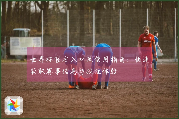 世界杯官方入口及使用指南，快速获取赛事信息与投注体验