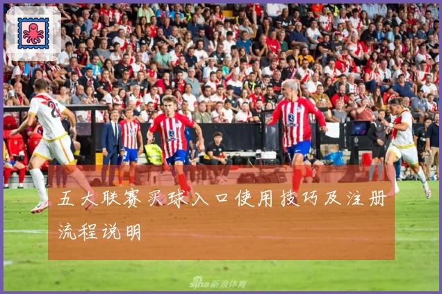 五大联赛买球入口使用技巧及注册流程说明