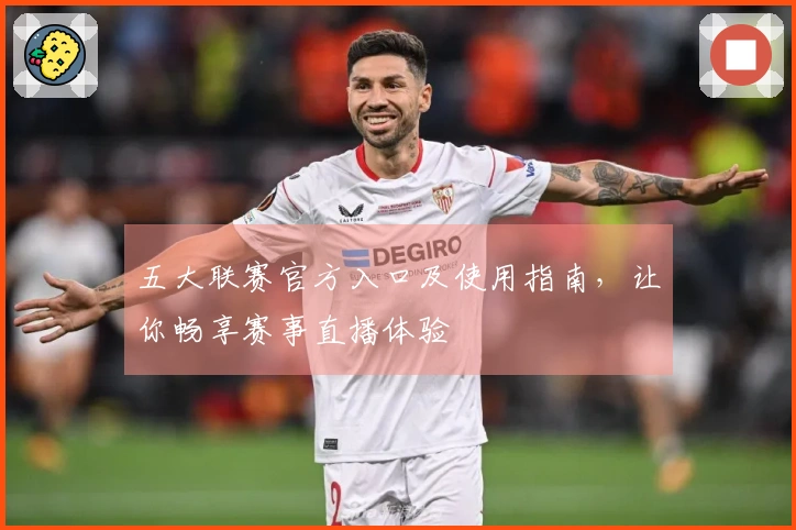 五大联赛官方入口及使用指南，让你畅享赛事直播体验
