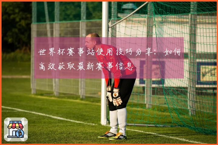 世界杯赛事站使用技巧分享：如何高效获取最新赛事信息