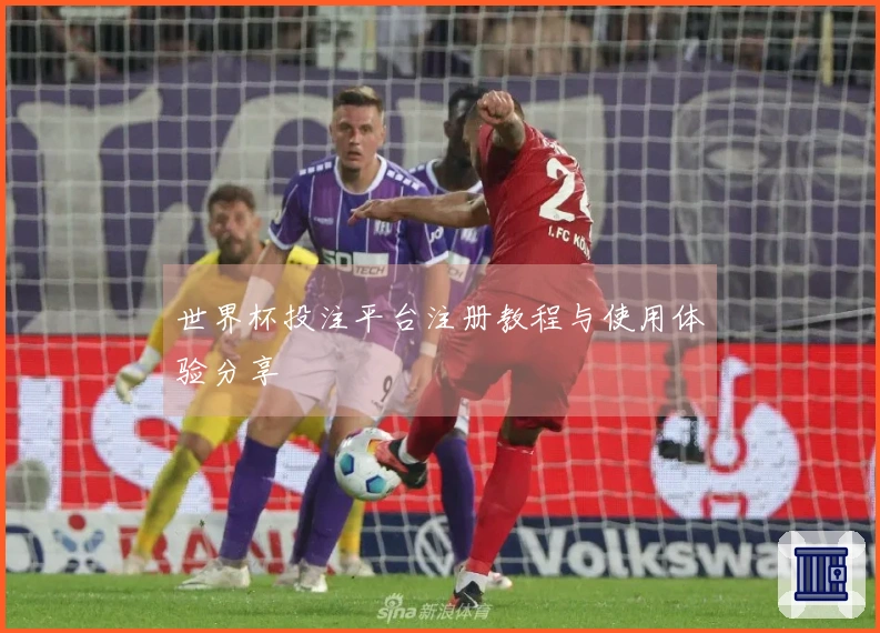 世界杯投注平台注册教程与使用体验分享