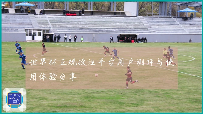 世界杯正规投注平台用户测评与使用体验分享