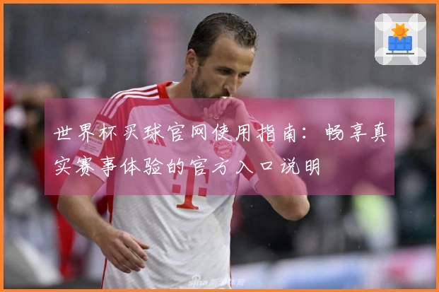 世界杯买球官网使用指南：畅享真实赛事体验的官方入口说明