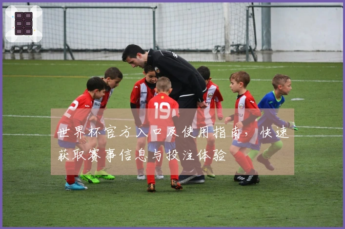 世界杯官方入口及使用指南，快速获取赛事信息与投注体验