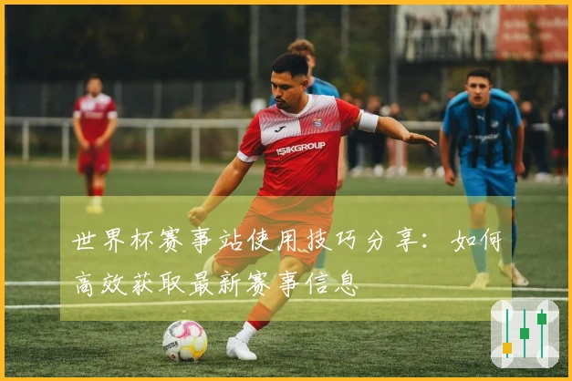 世界杯赛事站使用技巧分享：如何高效获取最新赛事信息