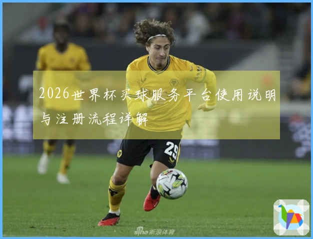 2026世界杯买球服务平台使用说明与注册流程详解