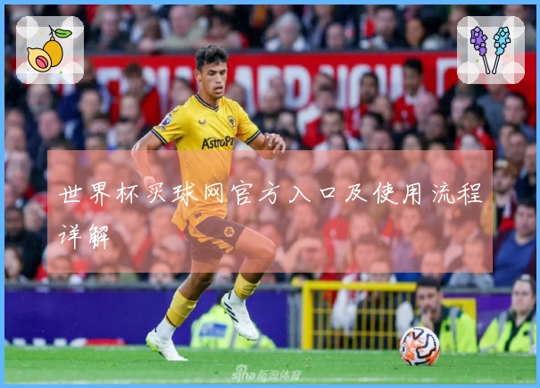 世界杯买球网官方入口及使用流程详解